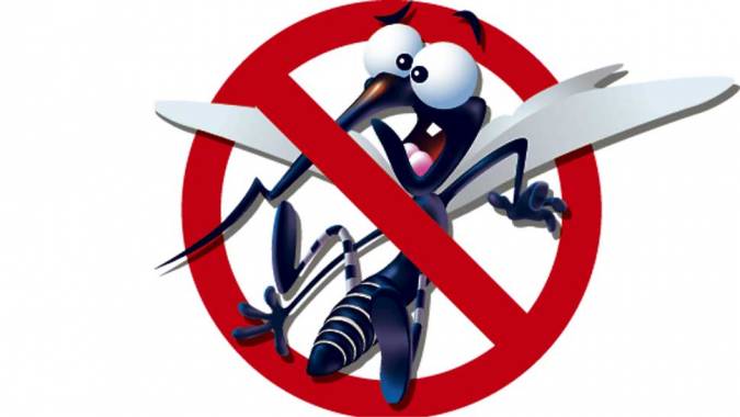 Prefeitura iniciará campanha contra Aedes aegypti